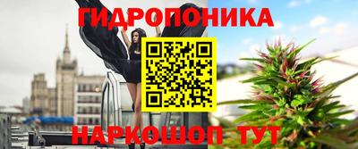 тгк Кимры